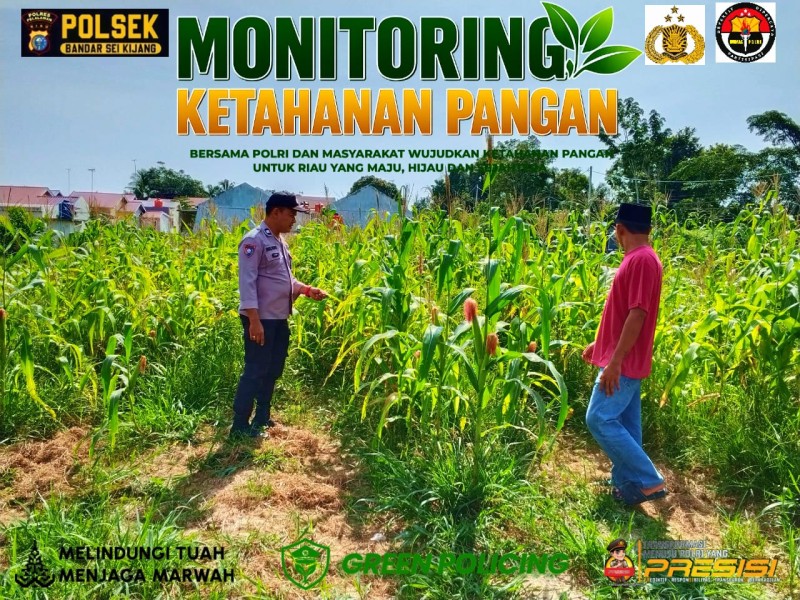 Polsek Bandar Sei Kijang Dampingi Petani Rawat Jagung Manis, Dukung Ketahanan Pangan Pelalawan