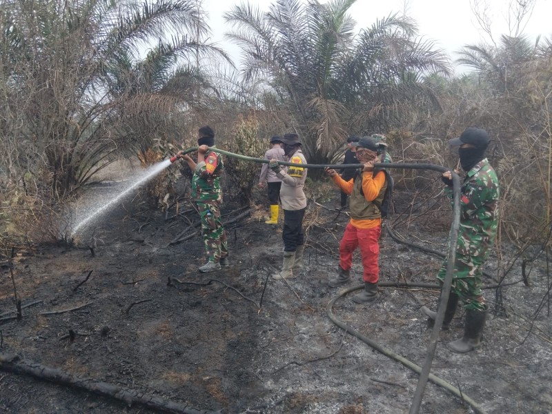 Babinsa Koramil 09/LGM Kodim 0313/Kampar Bersama Personel Gabungan Berjibaku Padamkan Karhutla di Tengah Keterbatasan Air, Lahan Gambut, dan Angin Kencang