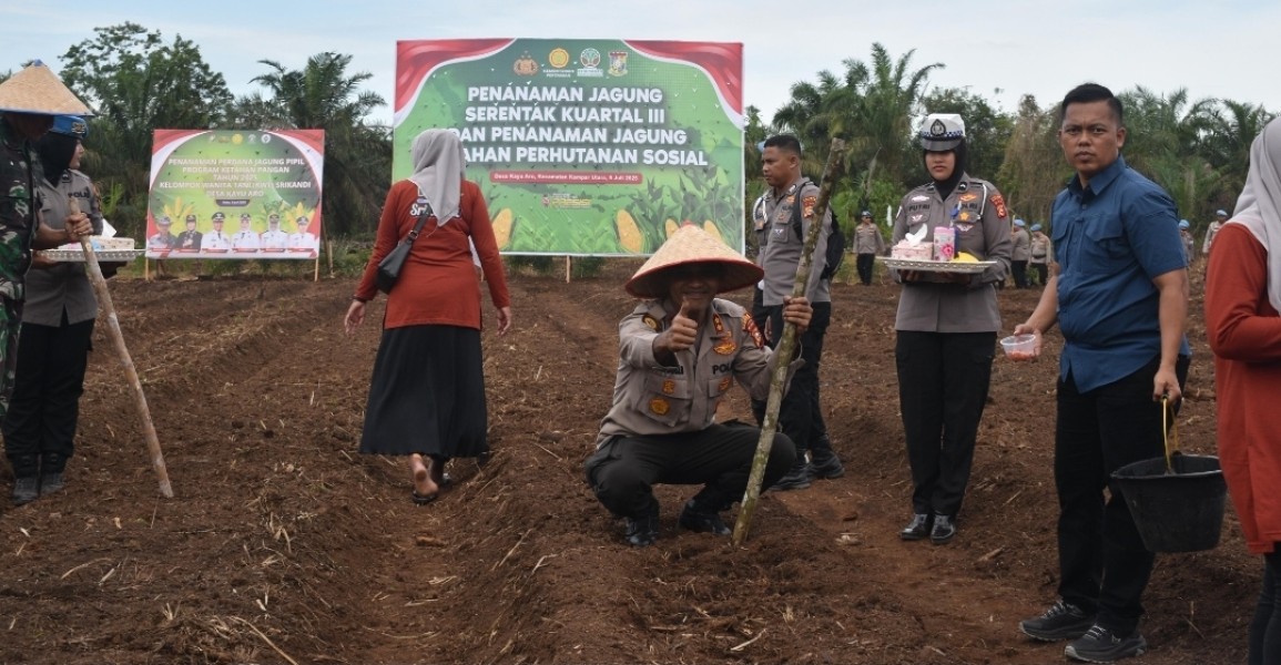 Kapolres Kampar Pimpin Penanaman Jagung Serentak, Dukung Swasembada Pangan Nasional!