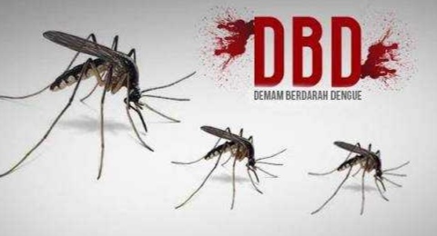 DBD di Pekanbaru Capai 112 Kasus, Kecamatan Marpoyan Damai Tertinggi