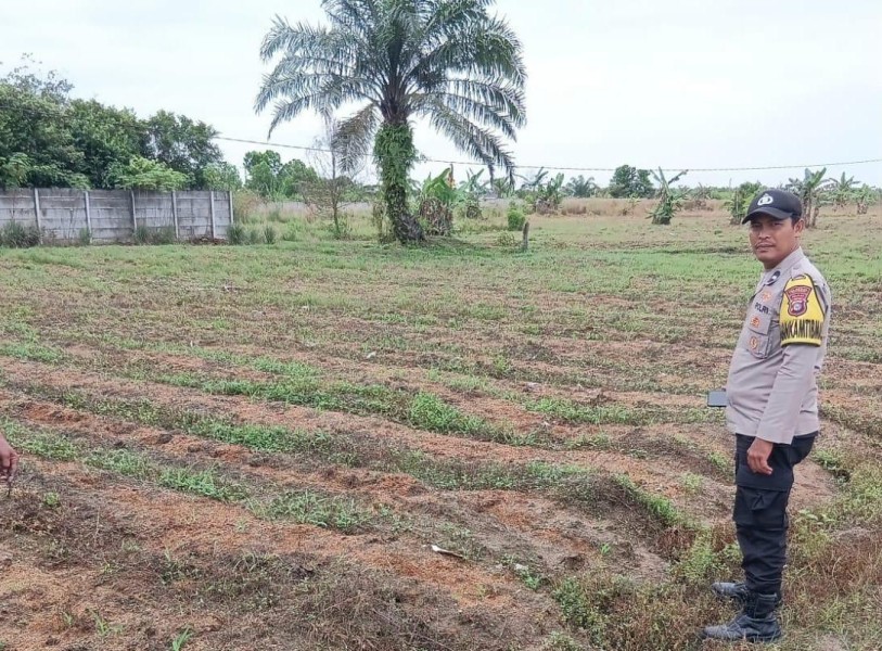Polsek Payung Sekaki dan Warga Bersinergi Wujudkan Kemandirian Pangan