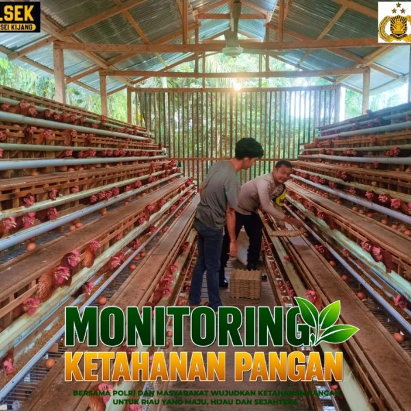 Polsek Bandar Sei Kijang Monitoring Peternakan Ayam Petelur BUMDes, Dukung Ketahanan Pangan di Pelalawan