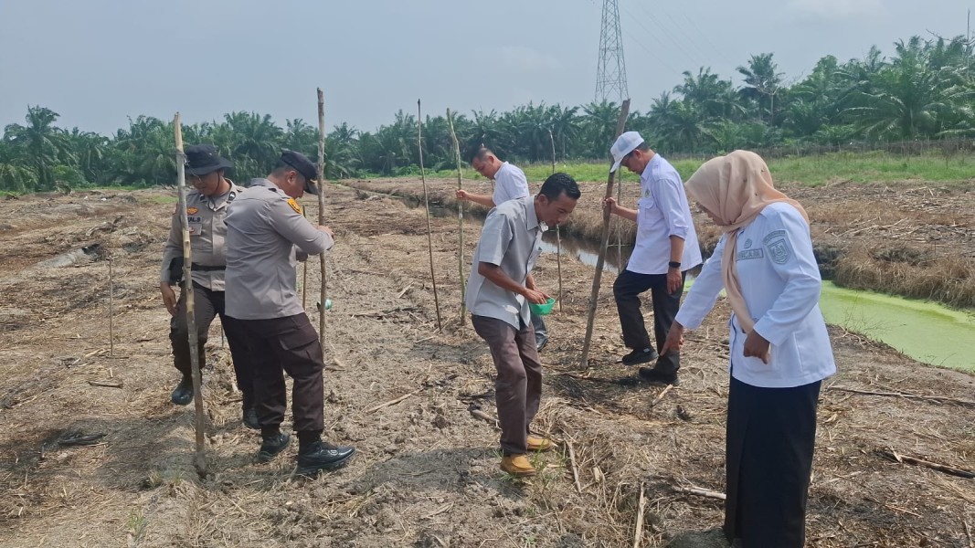 Kapolsek Batu Hampar Pimpin Langsung Penanaman Jagung 2 Hektare