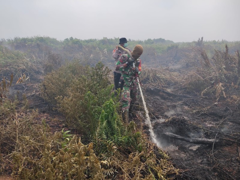 Hadapi Cuaca Panas dan Angin Kencang, Satgas Karhutla Kodam XIX/Tuanku Tambusai Amankan Lahan Terbakar