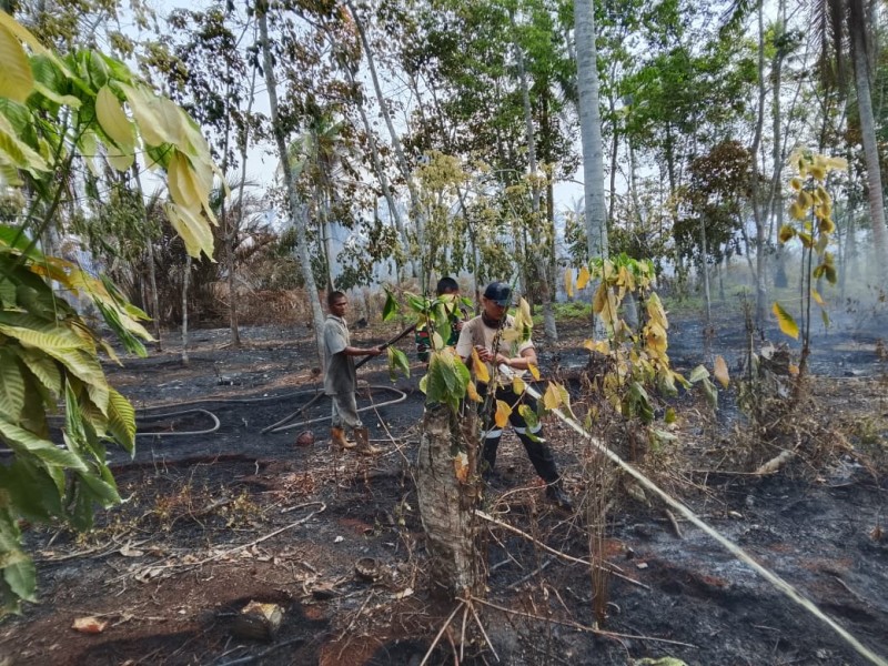 Kodam XIX Tuanku Tambusai Perkuat Penanganan Karhutla di Meranti, Dua Hektare Lahan Berhasil Dipadamkan