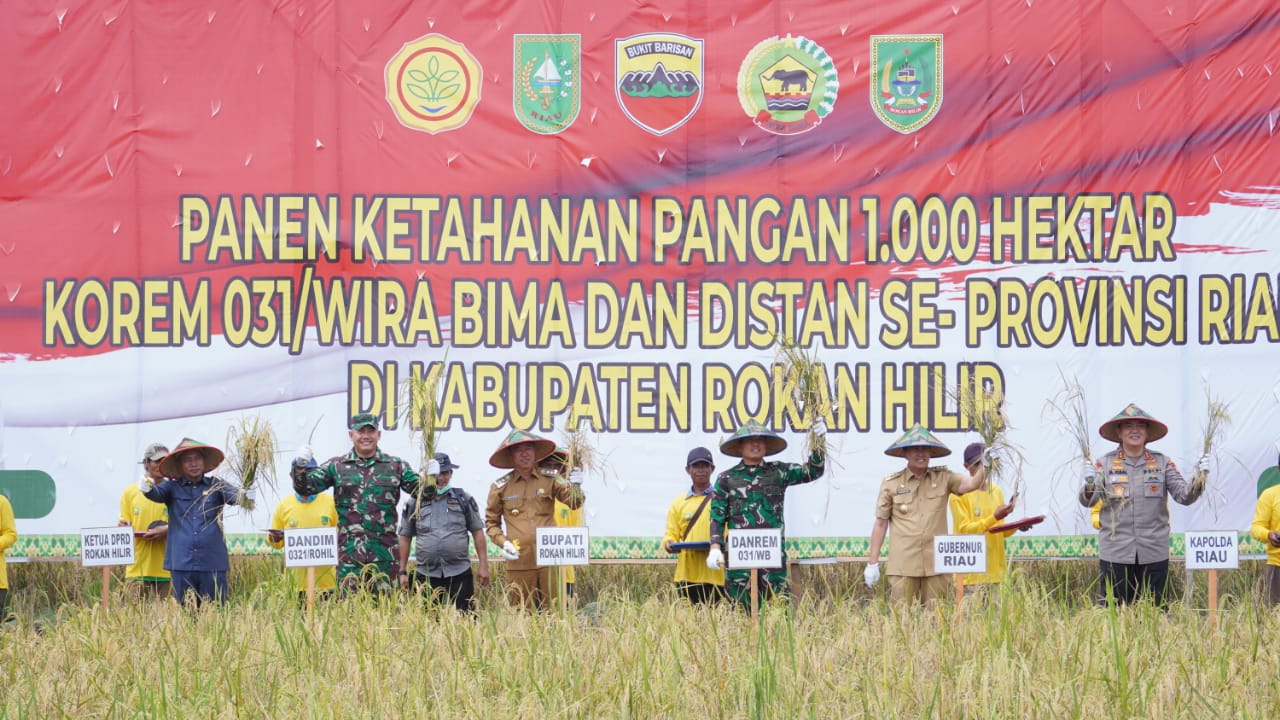 Gubernur Riau Bersama Danrem 031 Wira Bima dan Kapolda Riau Panen Raya Padi di Rohil