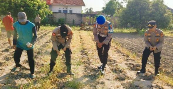 Polsek Kawasan Pelabuhan Salurkan Bantuan Pupuk dan Pendamping