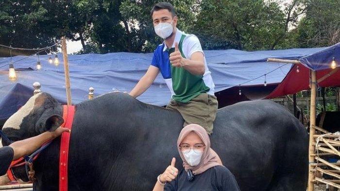 Raffi Ahmad Sewa Lahan Kosong Untuk Penyembelihan Hewan Kurban