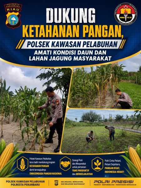 Dukung Ketahanan Pangan, Polisi Amati Kondisi Daun dan Lahan Jagung masyarakat