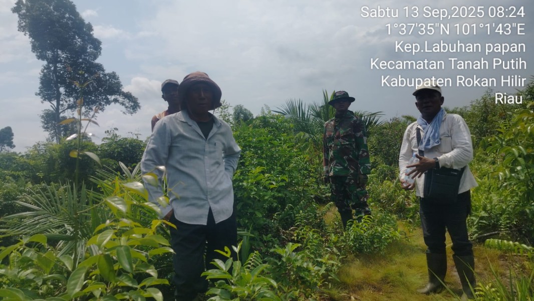 Anggota Koramil 0321-02/TP Lakukan Patroli Karlahut di Kepenghuluan Labuhan Papan