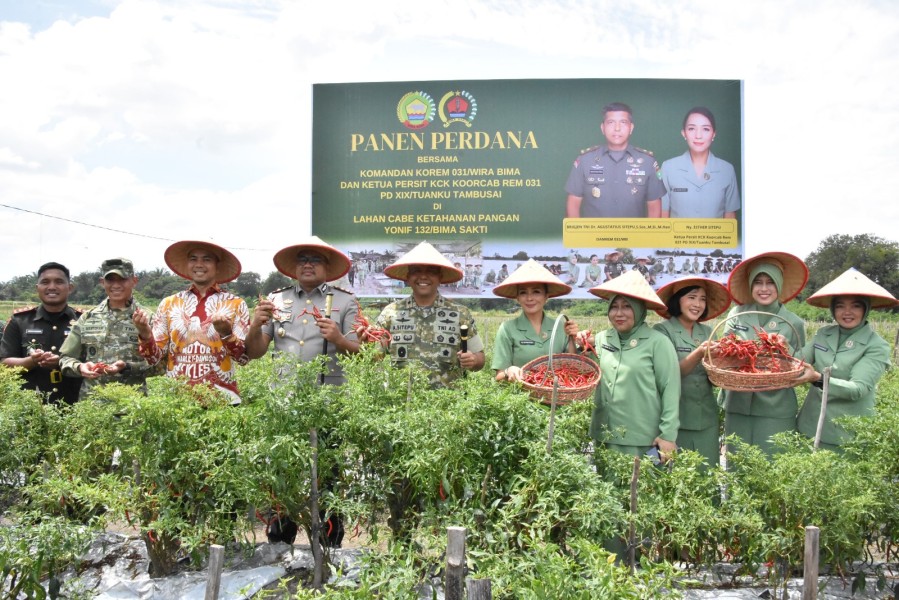 Danrem 031/WB Laksanakan Panen Raya Cabai di Kebun Yonif 132/BS sebagai Wujud Nyata Dukungan TNI terhadap Program Ketahanan Pangan Nasional