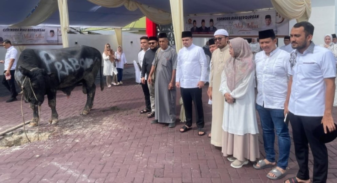 Presiden RI Prabowo Subianto Sembelih Sapi Miliknya di Kantor DPD Gerindra Provinsi Riau, M Rahul Jadi Komandonya