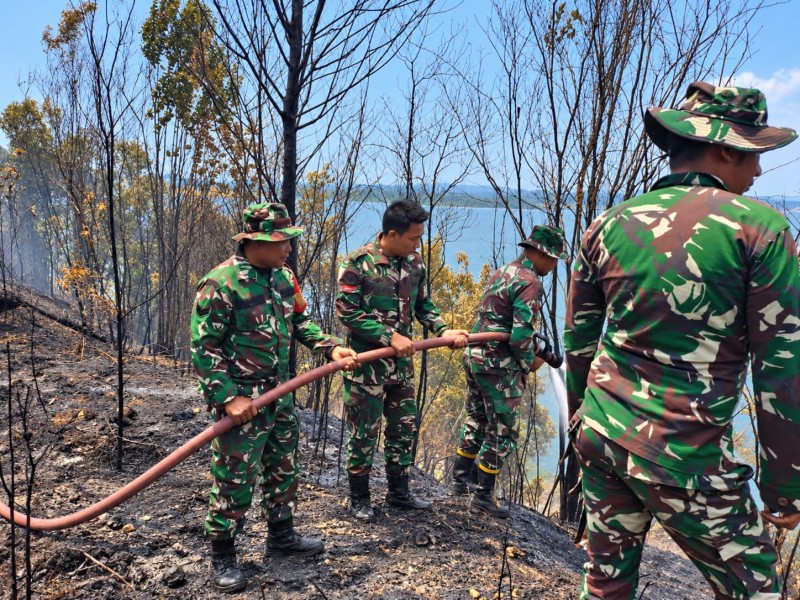 Karhutla di Sagulung Batam Berangsur Terkendali, Tim Gabungan Fokus Pendinginan